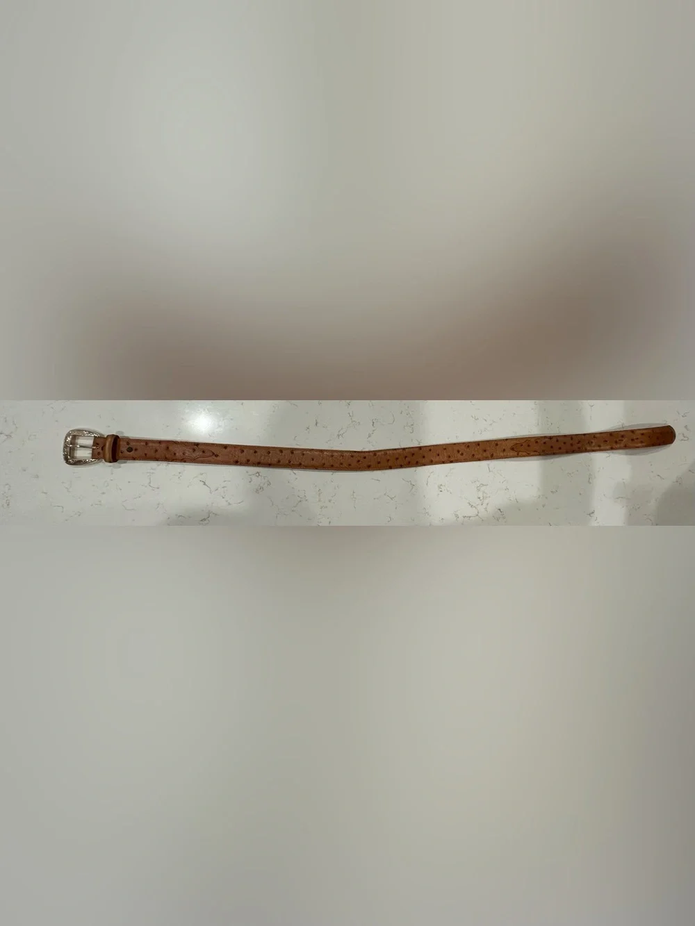 Men’s Tony Lama ostrich belt